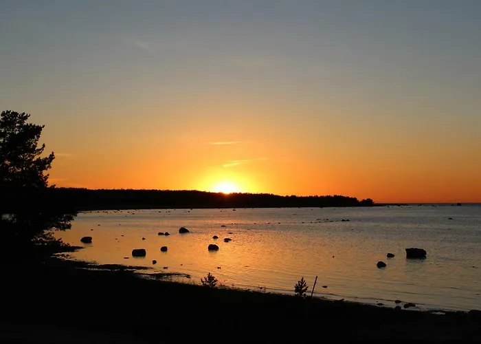 Metskonna Forest House * Nova